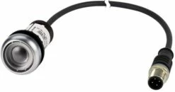 Eaton C22-D-X-K10-P1 Drucktaste Mit M12A-Stecker, Tastend, Ohne Tastenplatte (185680)
